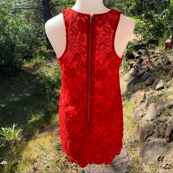 Lovers + Friends Red Lace Dress - Picture 7 of 10